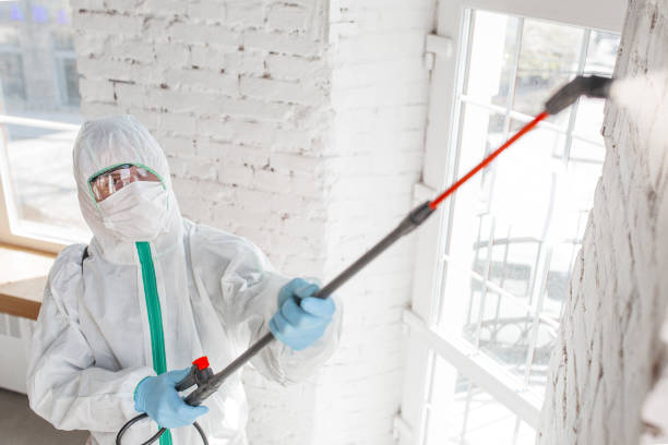 Best Forensic Mold Investigation  in District Heights, MD