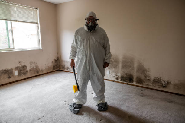 Best Commercial Mold Inspection  in District Heights, MD